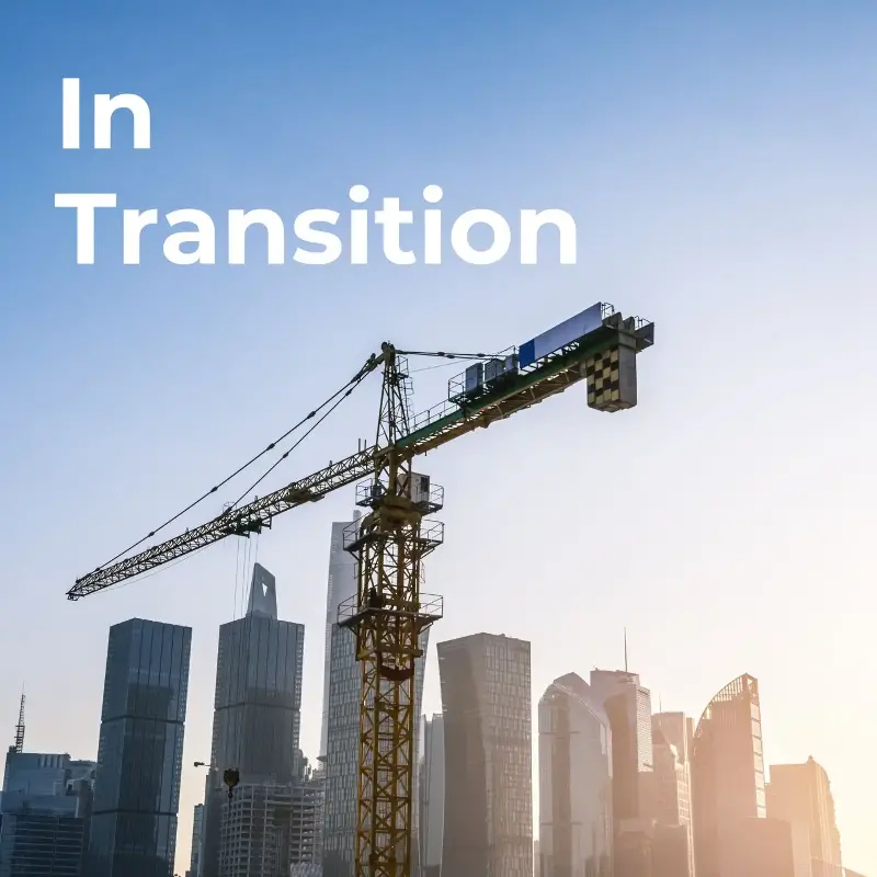 Companies in Transition