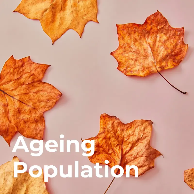 Ageing Population